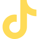 TikTok service icon