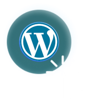 WordPress platform icon
